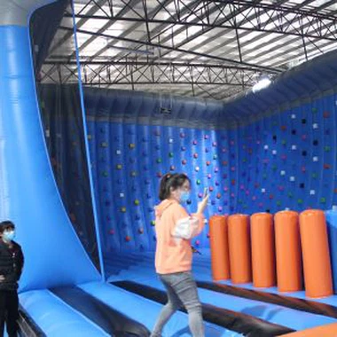 Parc Bownsio Theganau